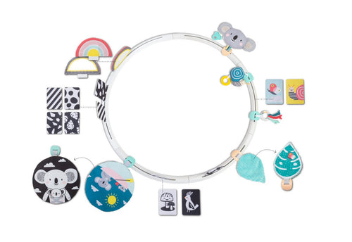 Taf Toys All around me activity hoop